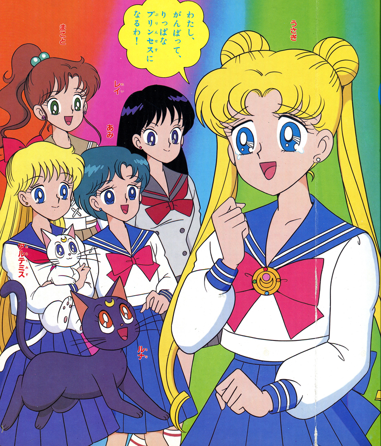Sailor Moon Picture Book Volume 10.