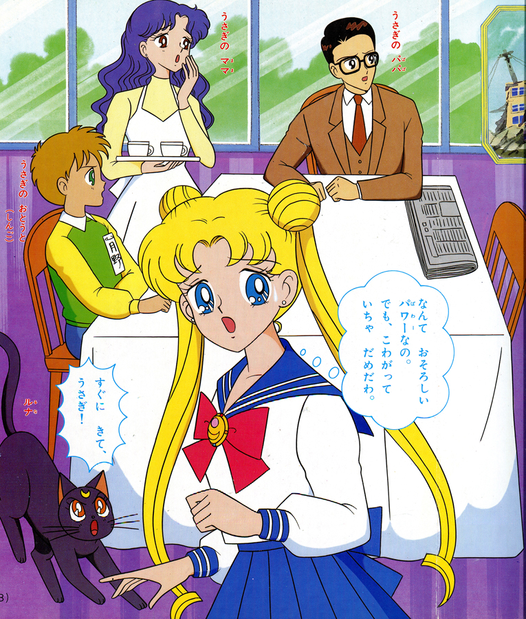 Sailor Moon Picture Book Volume 11 - Miss Dream